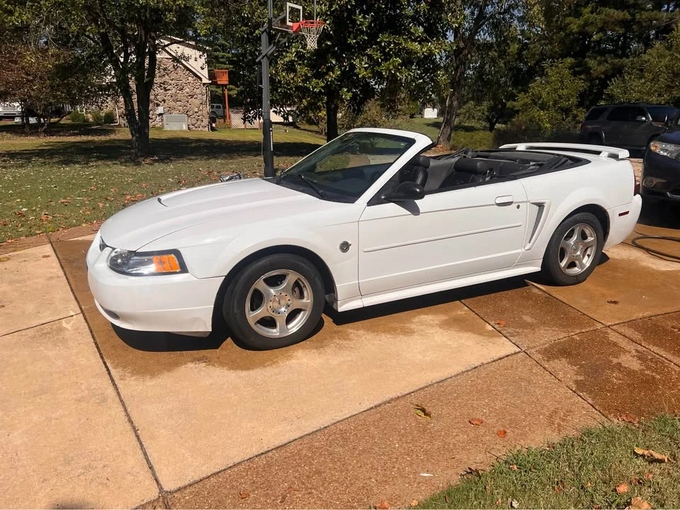 2004 Ford SN95 Mustang - Image 10 of 11