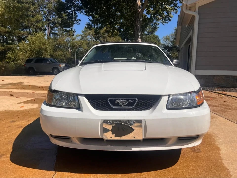 2004 Ford SN95 Mustang - Image 3 of 11