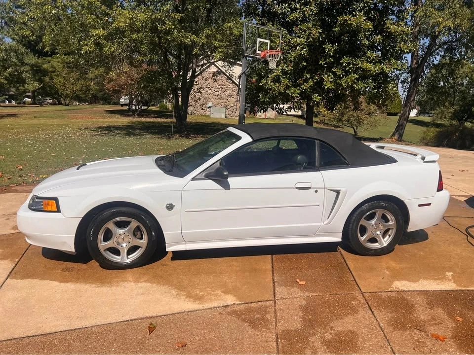 2004 Ford SN95 Mustang - Image 2 of 11