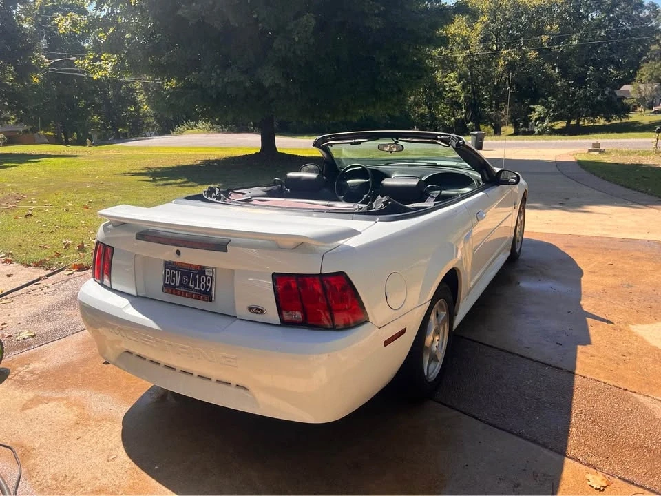 2004 Ford SN95 Mustang - Image 11 of 11