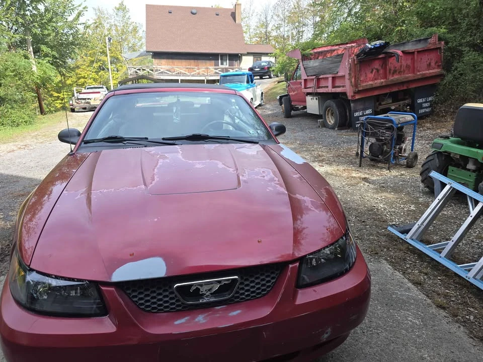 2004 Ford SN95 Mustang - Image 4 of 7