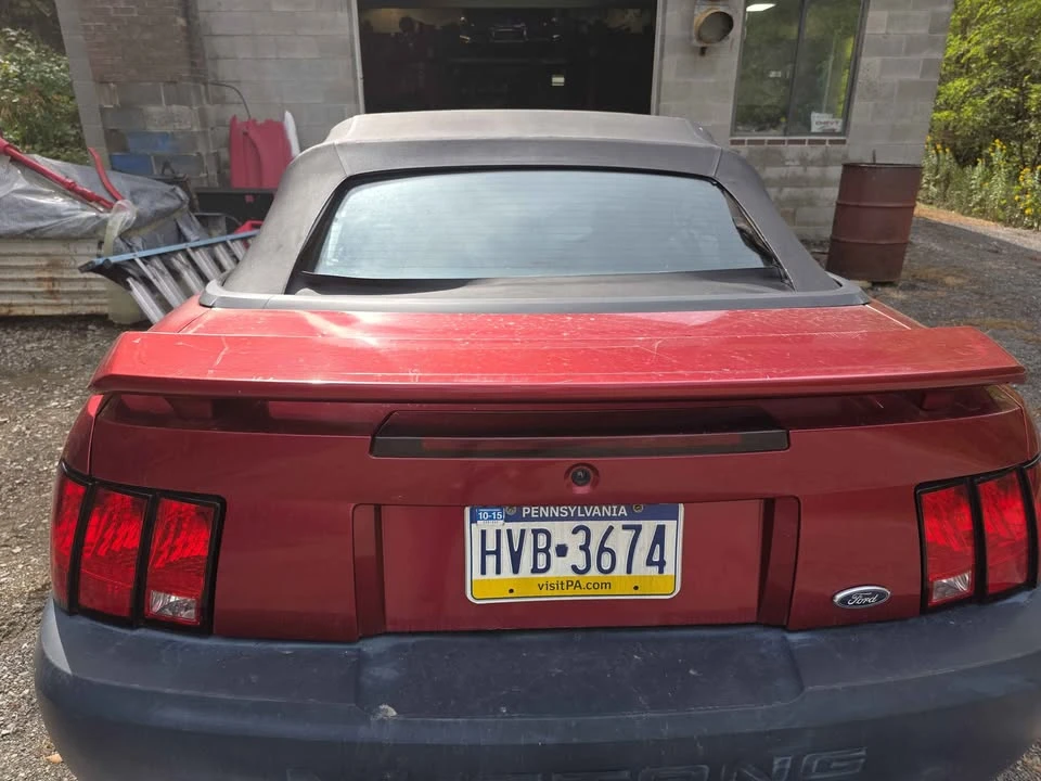 2004 Ford SN95 Mustang - Image 6 of 7