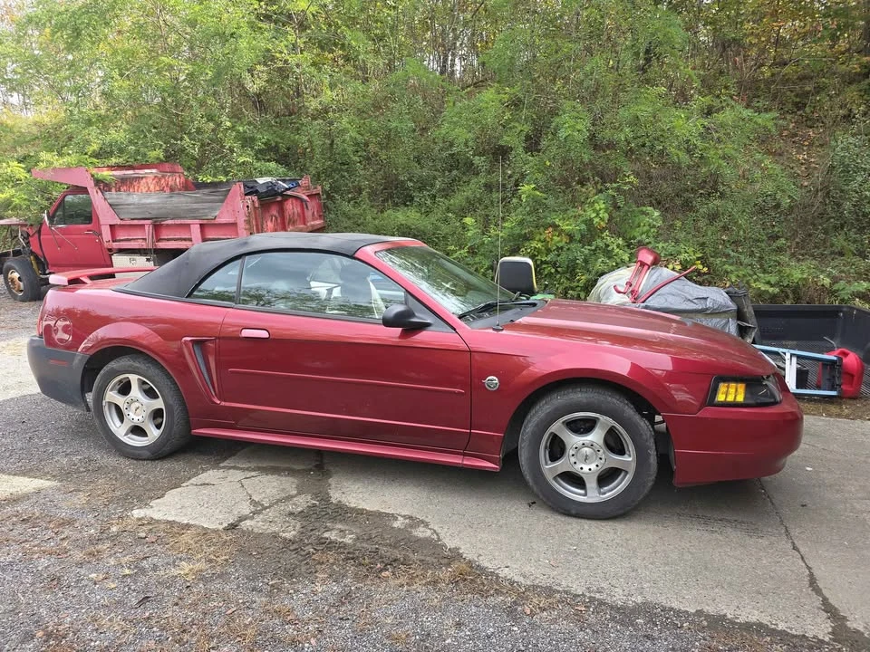 2004 Ford SN95 Mustang - Image 7 of 7