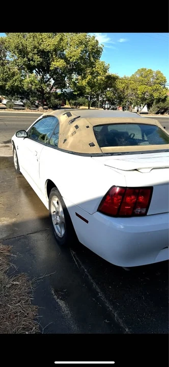 2004 Ford SN95 Mustang - Image 9 of 11