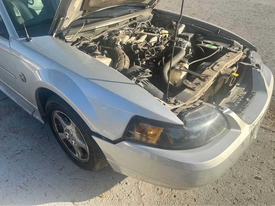 2004 Ford SN95 Mustang - Image 3 of 17