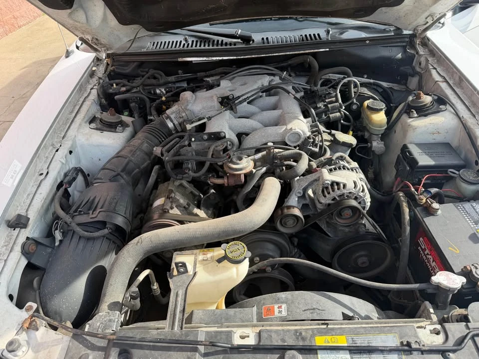 2004 Ford SN95 Mustang - Image 13 of 14