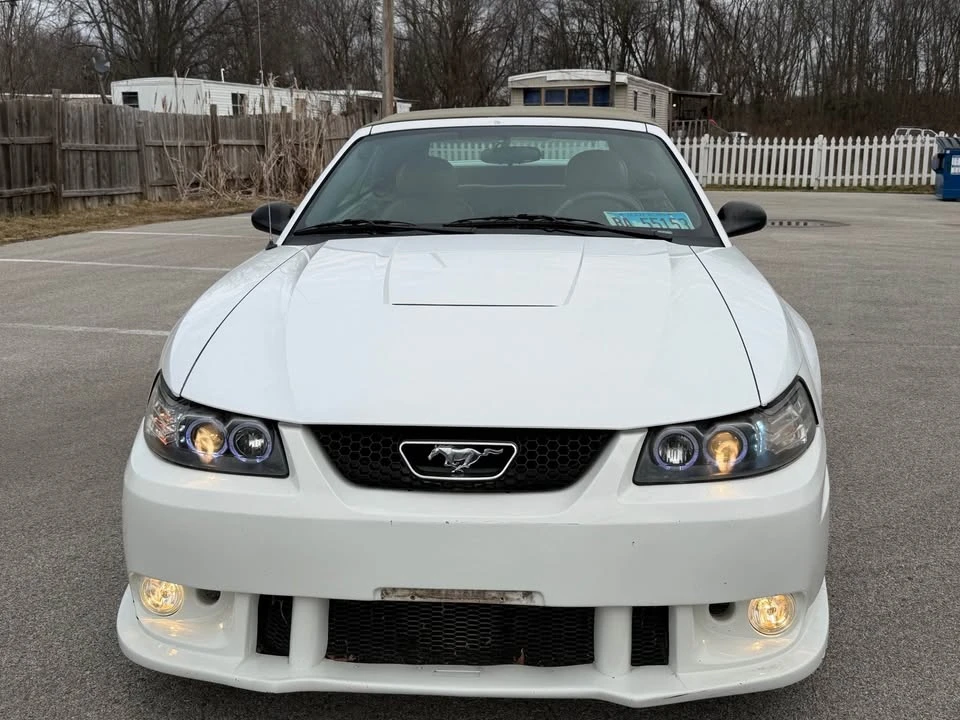 2004 Ford SN95 Mustang - Image 2 of 14