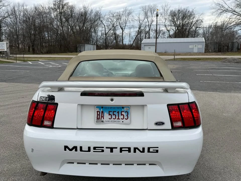 2004 Ford SN95 Mustang - Image 6 of 14
