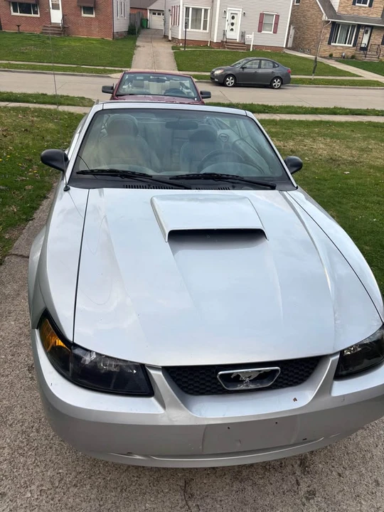 2004 Ford SN95 Mustang - Image 6 of 12
