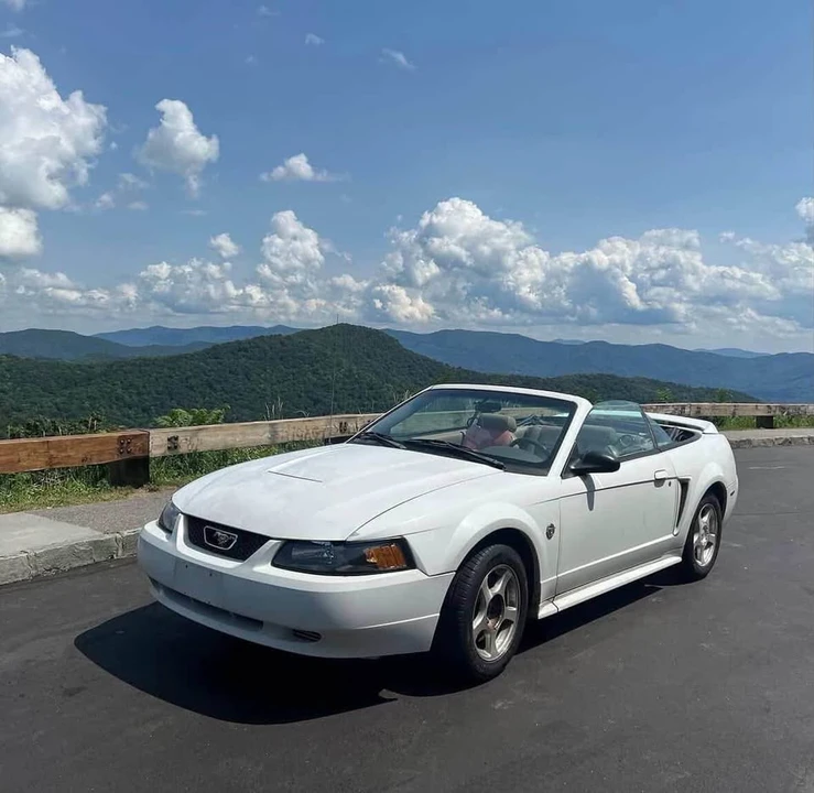 2004 Ford SN95 Mustang - Image 11 of 11