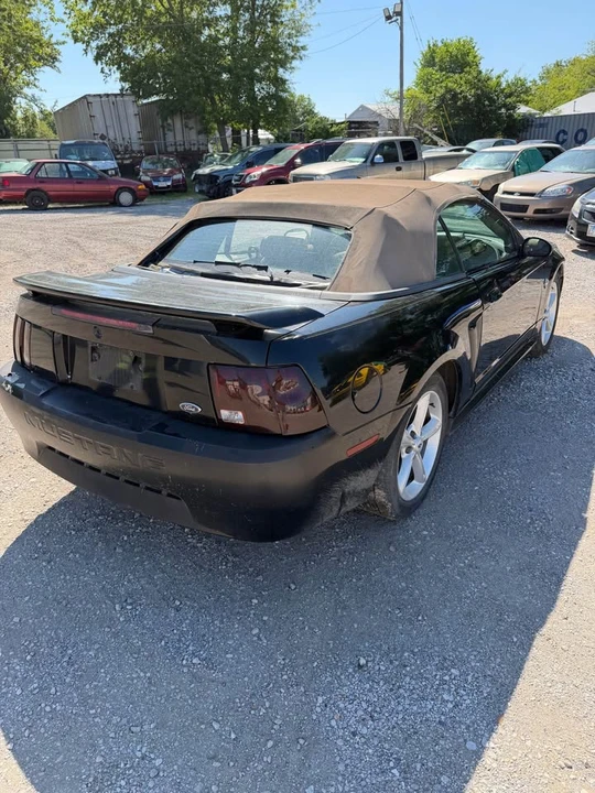 2004 Ford SN95 Mustang - Image 4 of 5