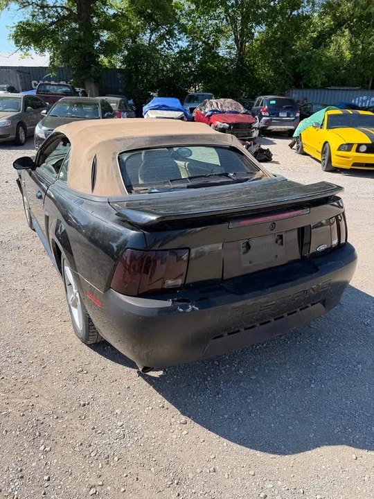 2004 Ford SN95 Mustang - Image 3 of 5