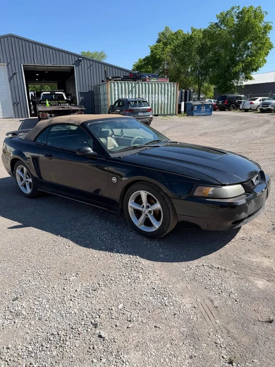 2004 Ford SN95 Mustang - Image 5 of 5