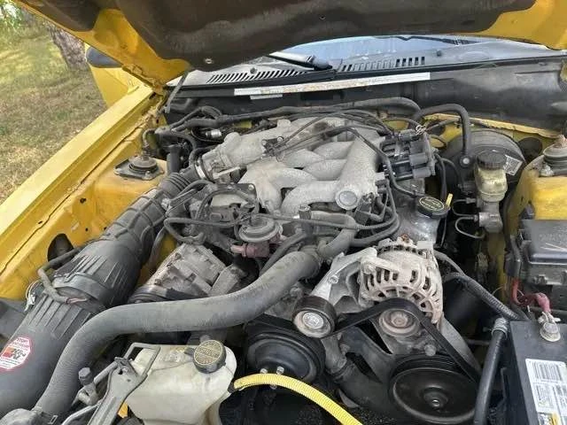 2004 Ford SN95 Mustang - Image 11 of 12