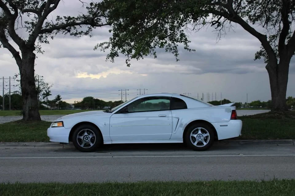 2004 Ford SN95 Mustang - Image 4 of 7