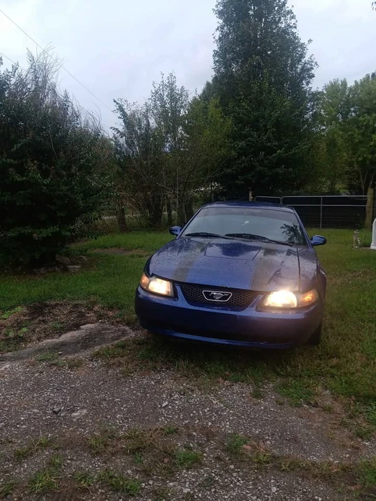 2004 Ford SN95 Mustang - Image 4 of 8