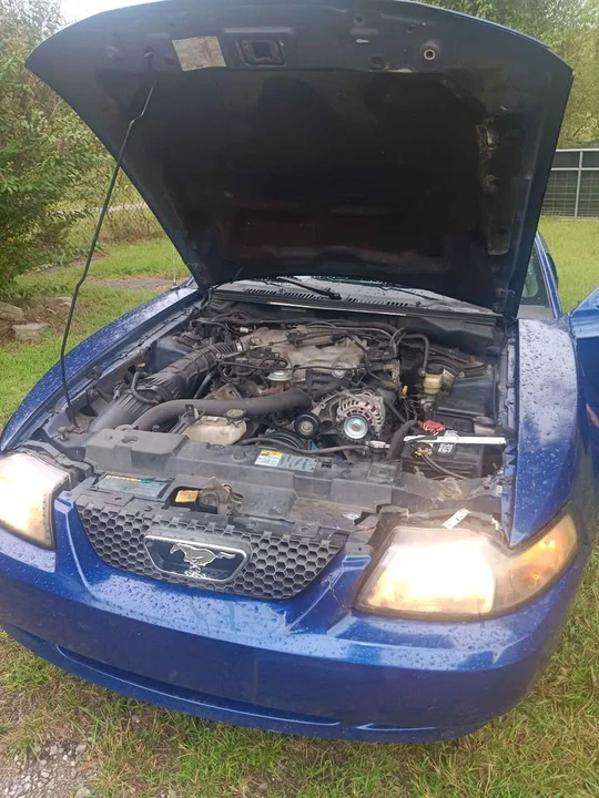 2004 Ford SN95 Mustang - Image 5 of 8
