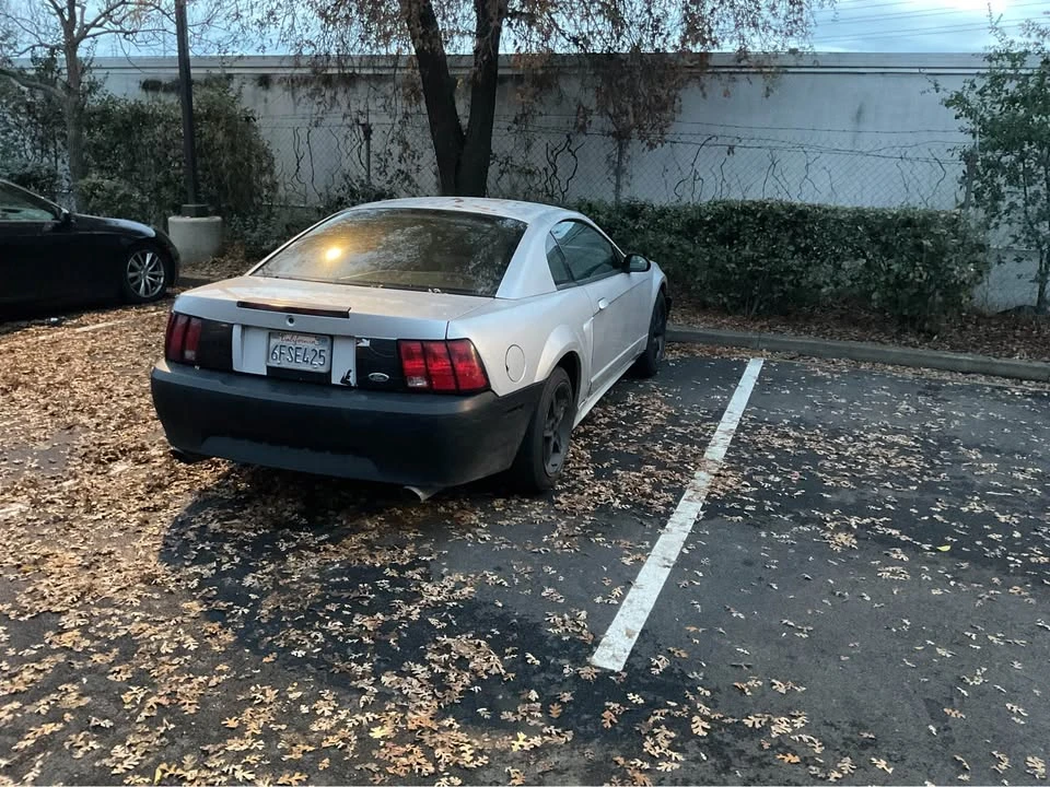2004 Ford SN95 Mustang - Image 3 of 4