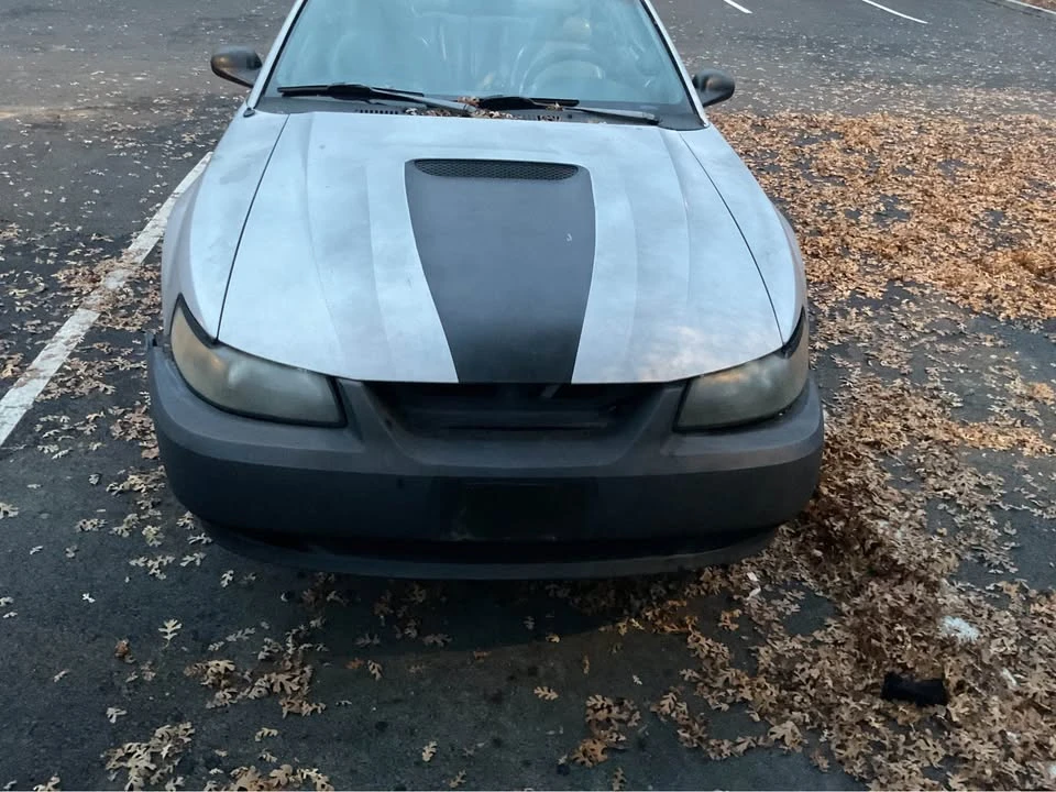 2004 Ford SN95 Mustang - Image 2 of 4