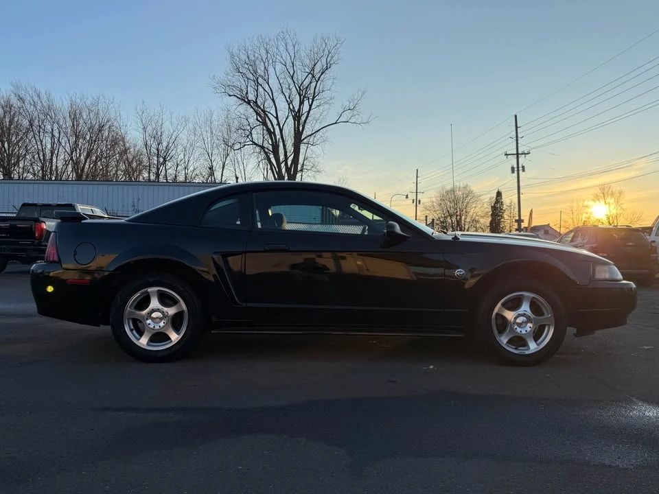 2004 Ford SN95 Mustang - Image 6 of 20