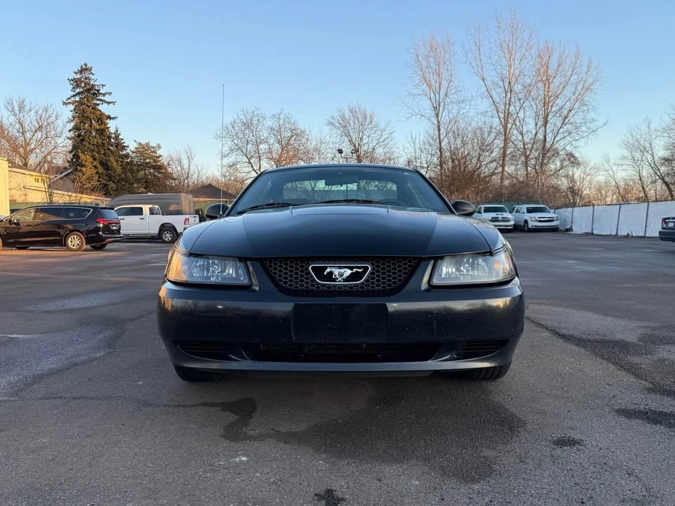 2004 Ford SN95 Mustang - Image 8 of 20