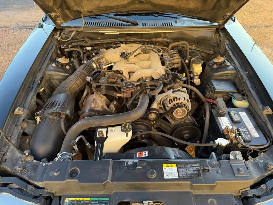 2004 Ford SN95 Mustang - Image 19 of 20
