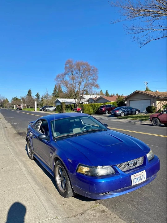 2004 Ford SN95 Mustang - Image 2 of 3