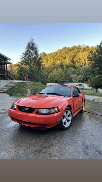 2004 Ford SN95 Mustang - Image 2 of 2