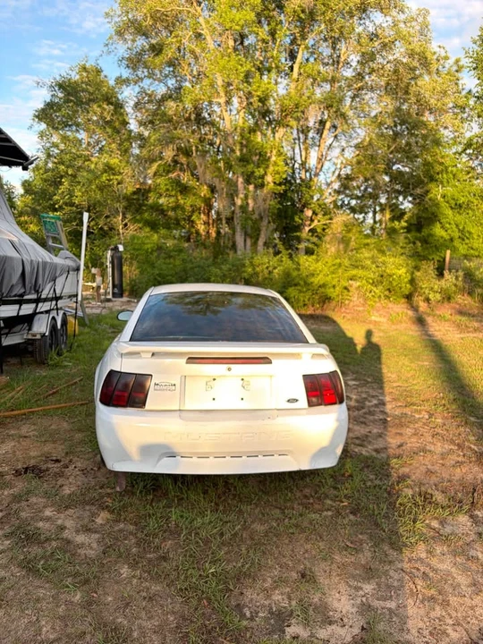 2004 Ford SN95 Mustang - Image 6 of 12