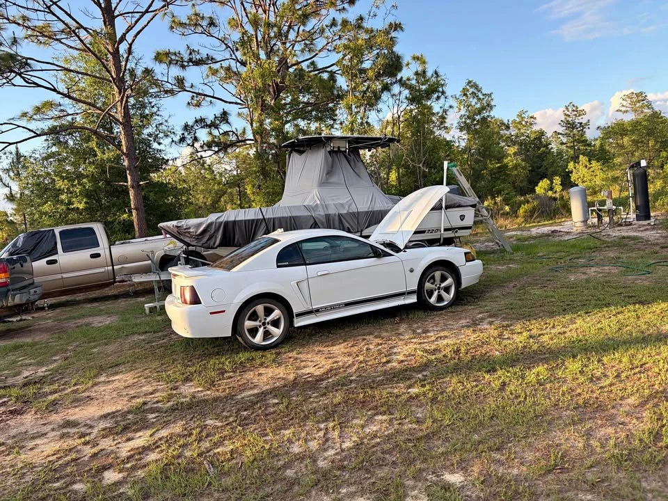 2004 Ford SN95 Mustang - Image 2 of 12