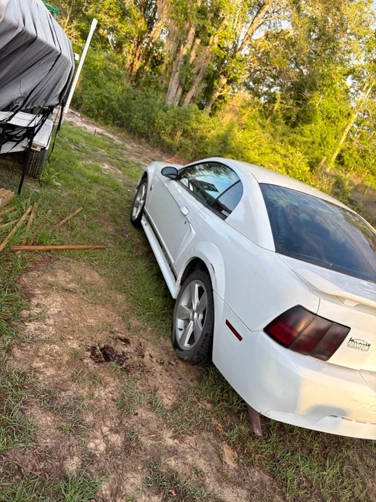 2004 Ford SN95 Mustang - Image 7 of 12