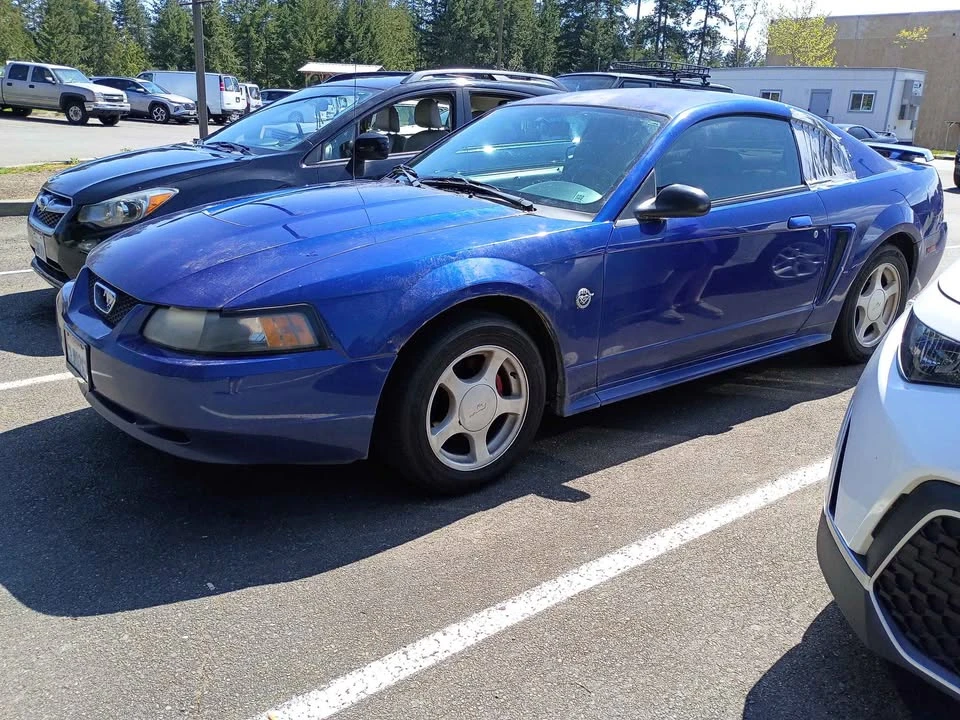2004 Ford SN95 Mustang - Image 7 of 8