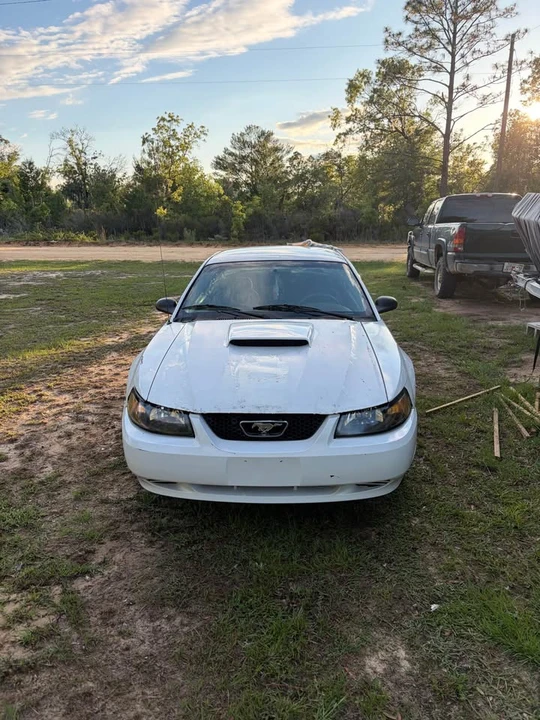 2004 Ford SN95 Mustang - Image 4 of 12
