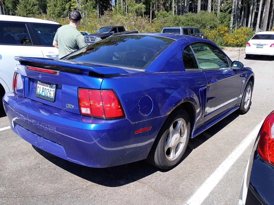 2004 Ford SN95 Mustang - Image 3 of 8