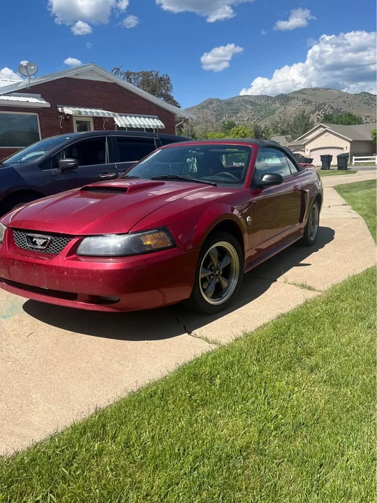 2004 Ford SN95 Mustang - Image 2 of 2