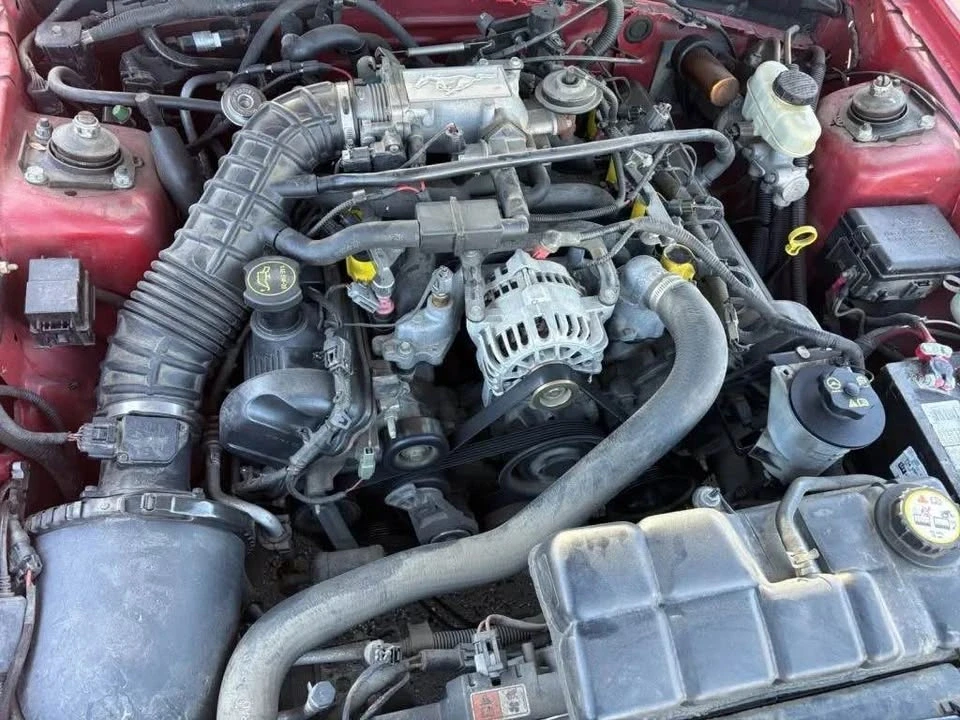 2004 Ford SN95 Mustang - Image 14 of 17