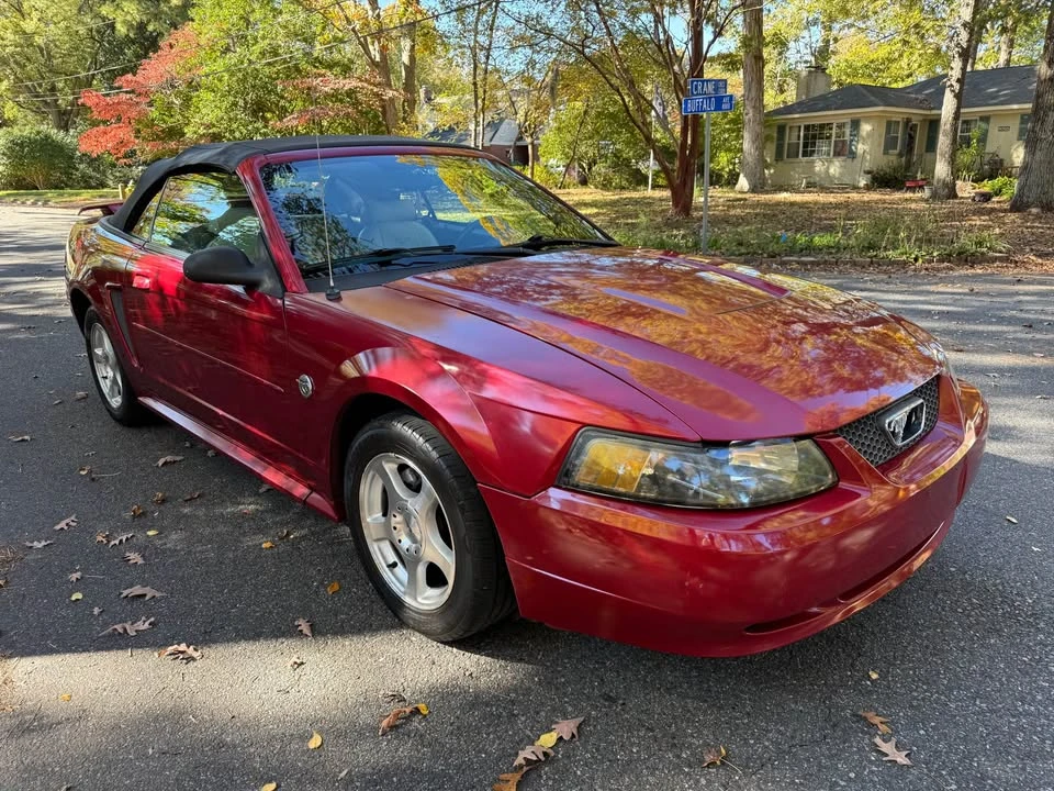 2004 Ford SN95 Mustang - Image 5 of 15