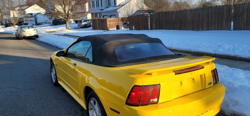 2004 Ford SN95 Mustang - Image 12 of 13