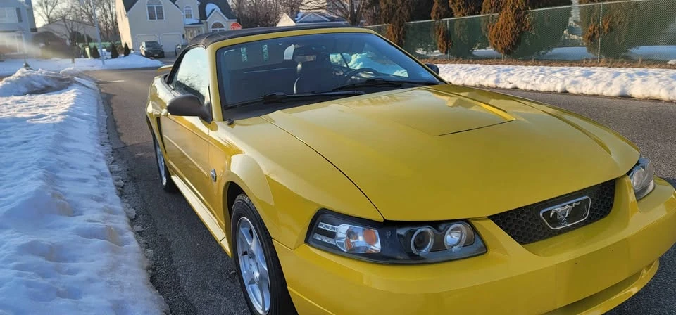 2004 Ford SN95 Mustang - Image 11 of 13