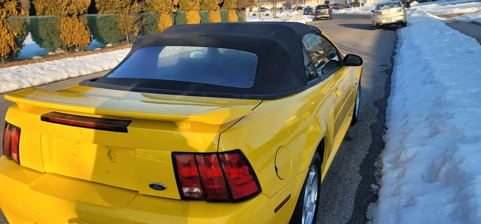 2004 Ford SN95 Mustang - Image 13 of 13