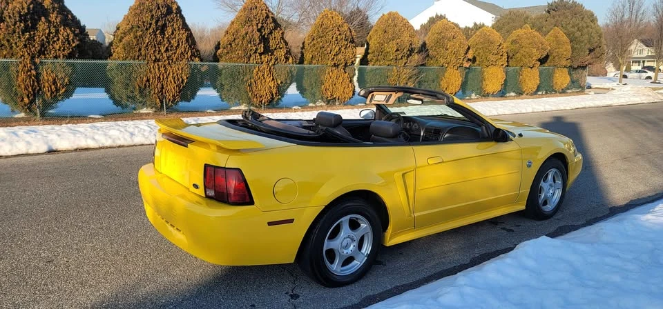 2004 Ford SN95 Mustang - Image 3 of 13