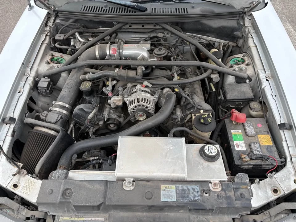 2004 Ford SN95 Mustang - Image 8 of 11