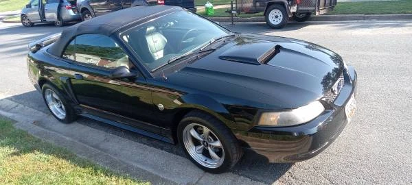 2004 Ford SN95 Mustang - Image 2 of 12