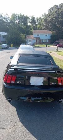 2004 Ford SN95 Mustang - Image 11 of 12