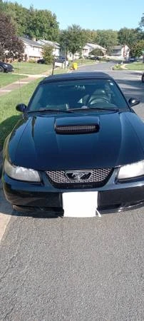 2004 Ford SN95 Mustang - Image 3 of 12