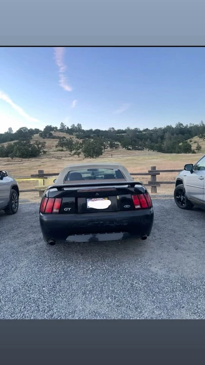2004 Ford SN95 Mustang - Image 3 of 12