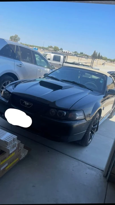2004 Ford SN95 Mustang - Image 6 of 12