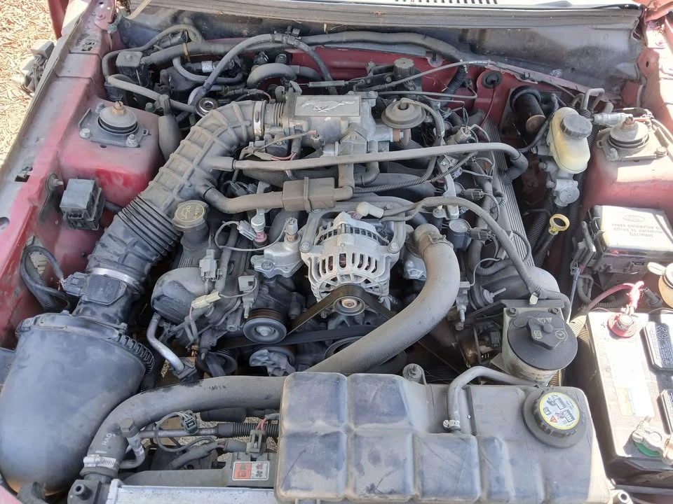 2004 Ford SN95 Mustang - Image 2 of 9