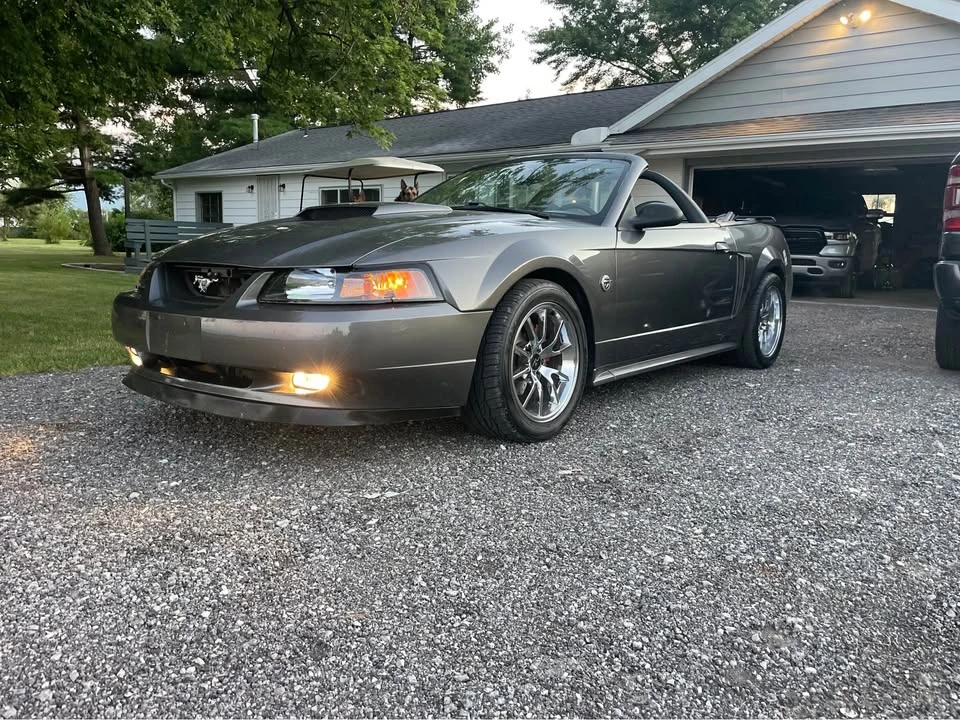 2004 Ford SN95 Mustang - Image 3 of 8