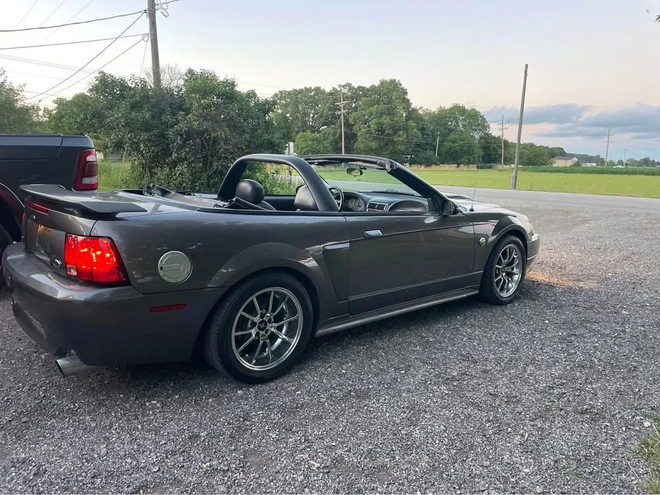 2004 Ford SN95 Mustang - Image 8 of 8